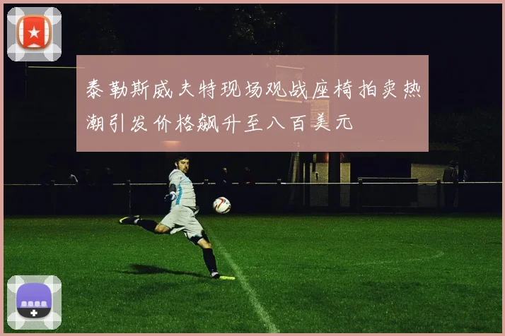 泰勒斯威夫特现场观战座椅拍卖热潮引发价格飙升至八百美元
