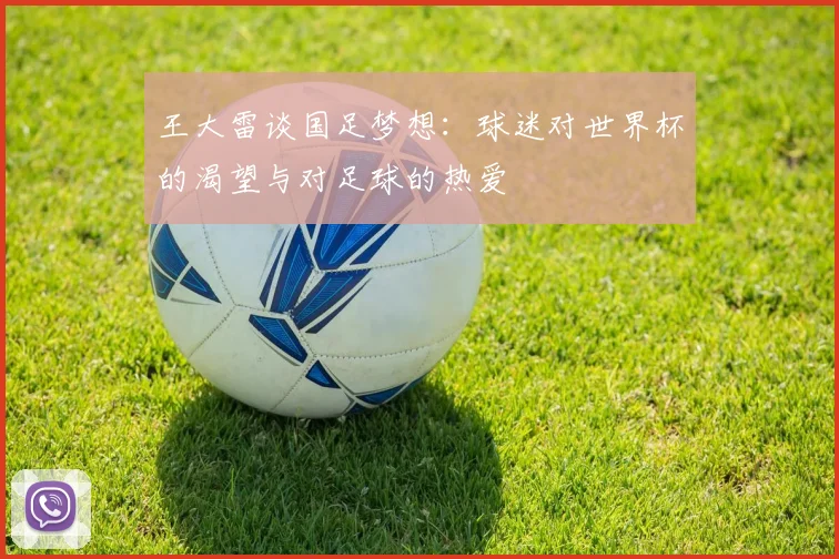 王大雷谈国足梦想：球迷对世界杯的渴望与对足球的热爱